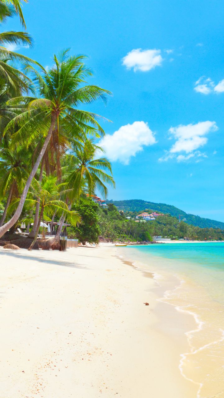 koh samuiです Ko Samui Travel Guide | Ko Samui Tourism - KAYAK